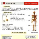 알즈너