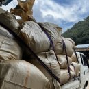 곡주2농장 | 영양고추 핫 페스티벌 참가 후기(feat. 홈다리농장)