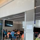 스파렉스 이미지