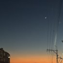 울림식육점