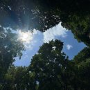 전심한의원 | 임신 바우처로 유산 보약을 지었다