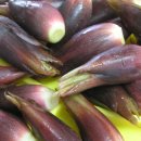 해광식당 이미지