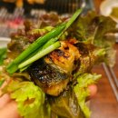 강나루장어구이 | [강릉/맛집] 두툼함이 남다른 '강나루 참숯불장어' – 예약 필수! 내돈내산 찐후기