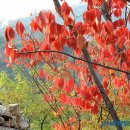 청운공원 이미지