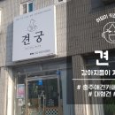 견궁 이미지