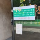 두미원 느티나무