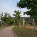 솔숲유원지 이미지