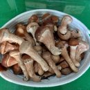 성산농장 이미지