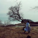 영도주단 이미지