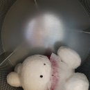 동해세탁소 네이버블로그