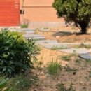 자연요양원 이미지