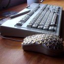 리케이온 이미지