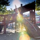 아이뜨락생태놀이터 이미지