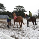 라온목장 이미지