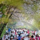 성베드로학교 이미지