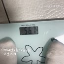 문신충