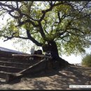 명당2리 마을회관 이미지