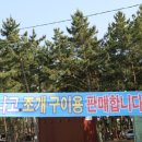 떳다아나고 이미지