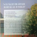 미모약국 이미지