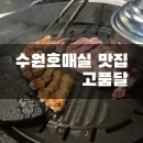 고기의 품격 | [수원/호매실]고기의 품격이 다른'고품달' 솔직후기(+메뉴추천)