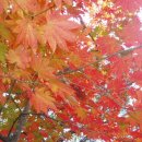 소요산서울식당 이미지