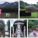 평창 별이빛나는밤에 이미지