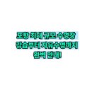 포항오천실내수영장 | 포항 오천 실내 수영장 수강신청방법｜자유수영·성인·어린이 수영 강습·개인레슨 총정리!