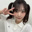 시연