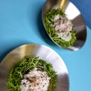 하모하모 이미지