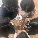 설화약국 이미지