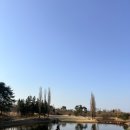 샌드파인 골프클럽 | 강릉 샌드파인CC 라운딩 후기 코스 완벽 공략| 친구들과의 특별한 여행기