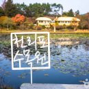 천리포수목원=가을절정시기:10월말~11월중순= 이미지