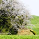 서산농장 이미지