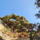 백제쉼터 이미지