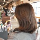 메종드엘라 이미지