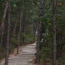 용산-267 이미지