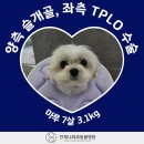 마루동물병원 이미지