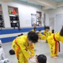 경희석사 백호태권도 이미지