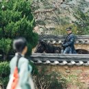 KAIST비전관 | 대전 광역시/충청도/성심당/대전 성심당/대전 빵집