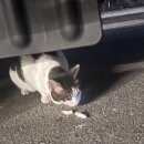 더 마블링 망우목장 이미지