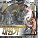 대원가 이미지