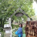 안양사 개방화장실 | 20190716 안양예술공원, 작은박물관-갤러리카페, 수도사, 보장사, 안양비지감자탕