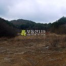 경남 고성군 삼산면 판곡리 / 임야 야산, 요양소용지 요양원부지 복지시설용지 묘원조성부지 종중묘지부지 수련시설용지 요양시설부지 / 2 이미지