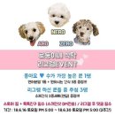 애견수제간식점_로둥이네식탁_인스타그램 이벤트중!!