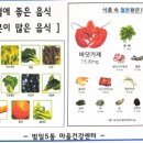 최신탕 이미지
