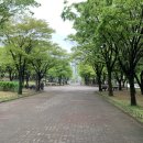 풀내음근린공원 이미지