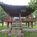 감주천 Daum카페