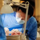 대우 치과의원 이미지