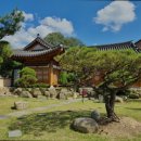 한옥1987 이미지