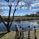 신평리(자연정화 생태습지)야외운동기구 | 안산 갈대습지, 생태체험 선생님 수업 들은 후기